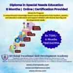 Diploma in Special Needs Program